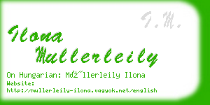 ilona mullerleily business card